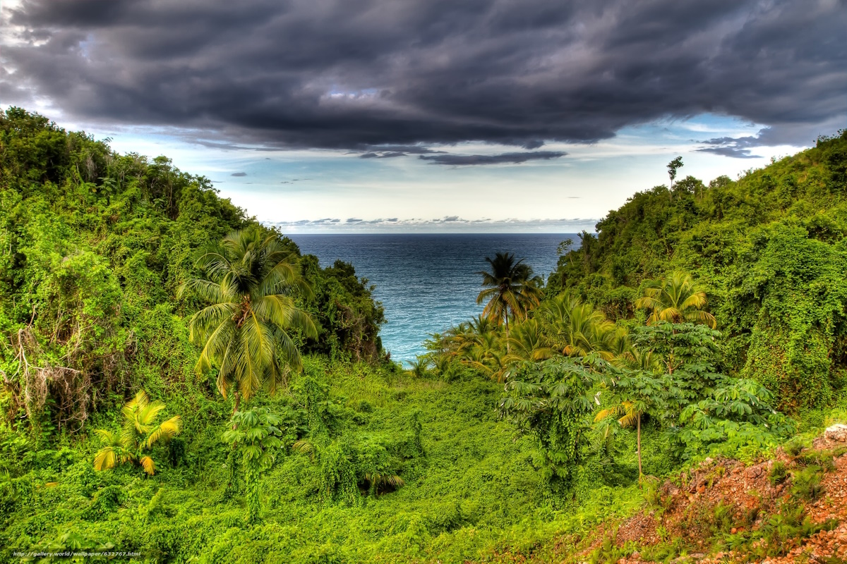 Aerial view of the Dominican Republic coastline