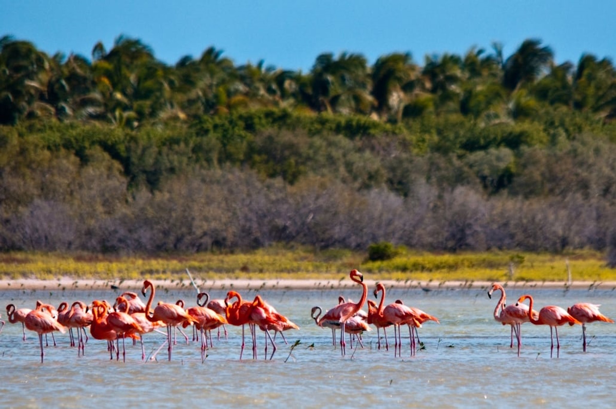 Lake Enriquillo in the Dominican Republic