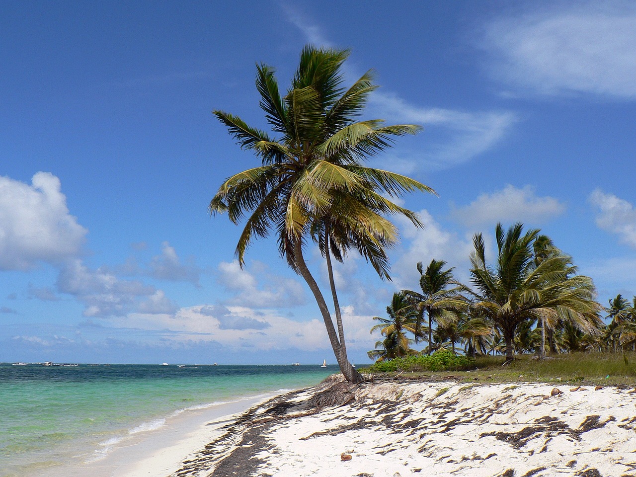 Punta Cana beach with palm trees and turquoise water