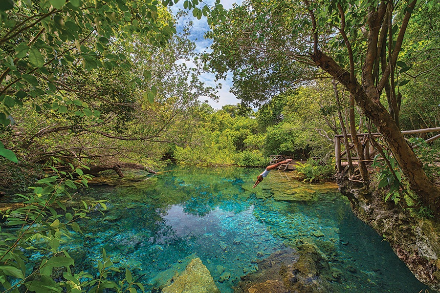 Punta Cana Forest